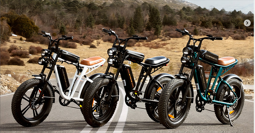 The M20 Off-Road E-Bike: 5 Reasons Why It's an Ideal Choice