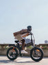 ENGWE X20 1000W(Peak) 20" 31 MPH Triple Suspension All Terrain E-bike (Higher Rise Handlebars)
