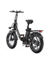 ENGWE L20 2.0 750W 80 Miles Front Fork + Post Suspens Step-Thru Ebike